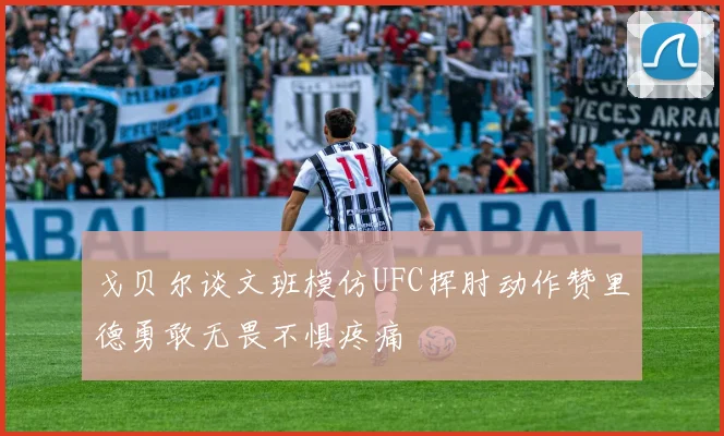 戈贝尔谈文班模仿UFC挥肘动作赞里德勇敢无畏不惧疼痛
